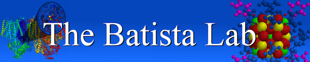 The Batista Group